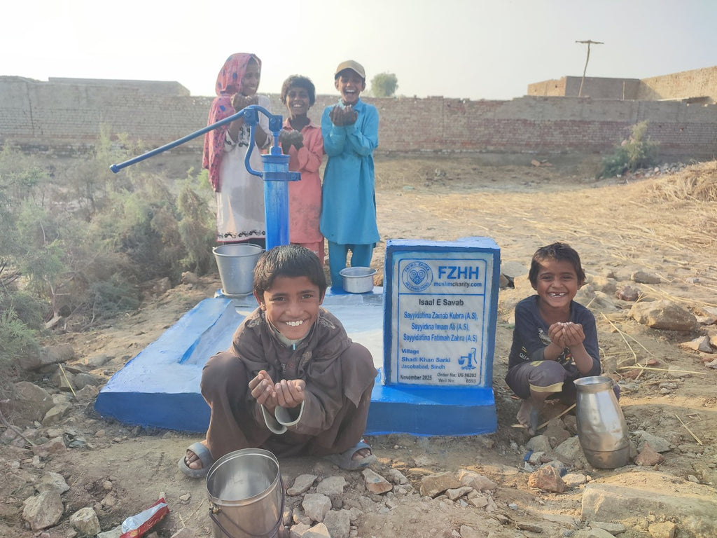 Sayyidatina Zainab Kubra (A.S), Sayyidina Imam Ali (A.S), Sa... - Order no. US 86203 - Well no. 6593