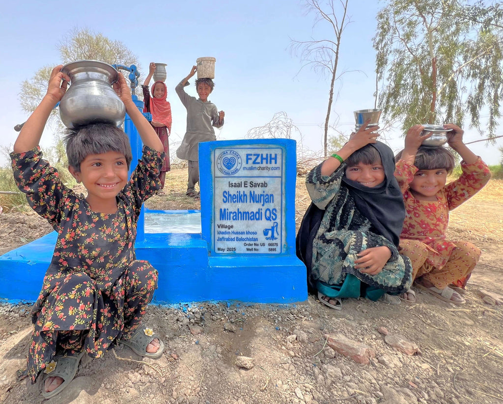 Sheikh Nurjan Mirahmadi QS - Order no. US 66075 - Well no. 5895