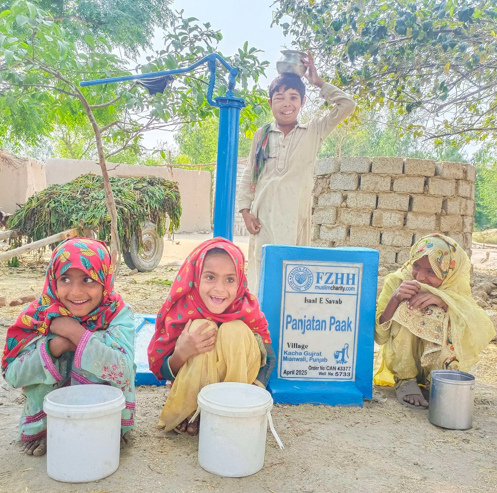 Panjatan Paak - Order no. CAN 43377 - Well no. 5733