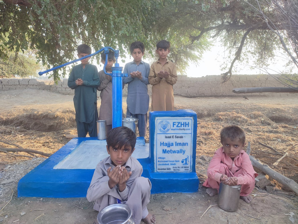 Hajja Iman Metwally - Order no. US 86064 - Well no. 6583