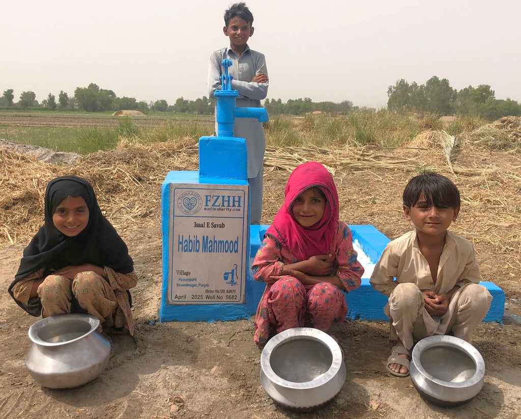 Habib Mahmood - Order no. US 62971* - Well no. 5682