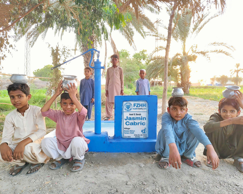 Jasmin Cabric - Order no. US 70049 - Well no. 6133