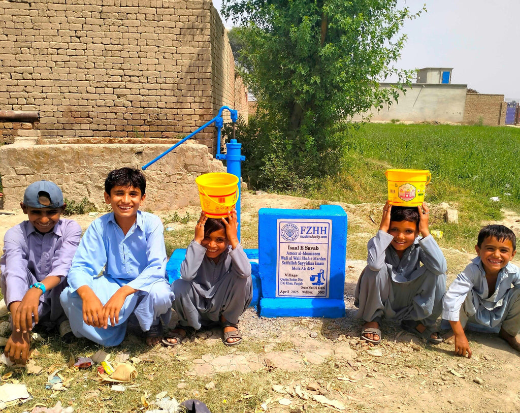 Ameer al-Momineen Wali al Wali Shah e Mardan Saifullah Sayyidina Imam Mola Ali ‎عليه السلام - Order no. US 62076 - Well no. 5603