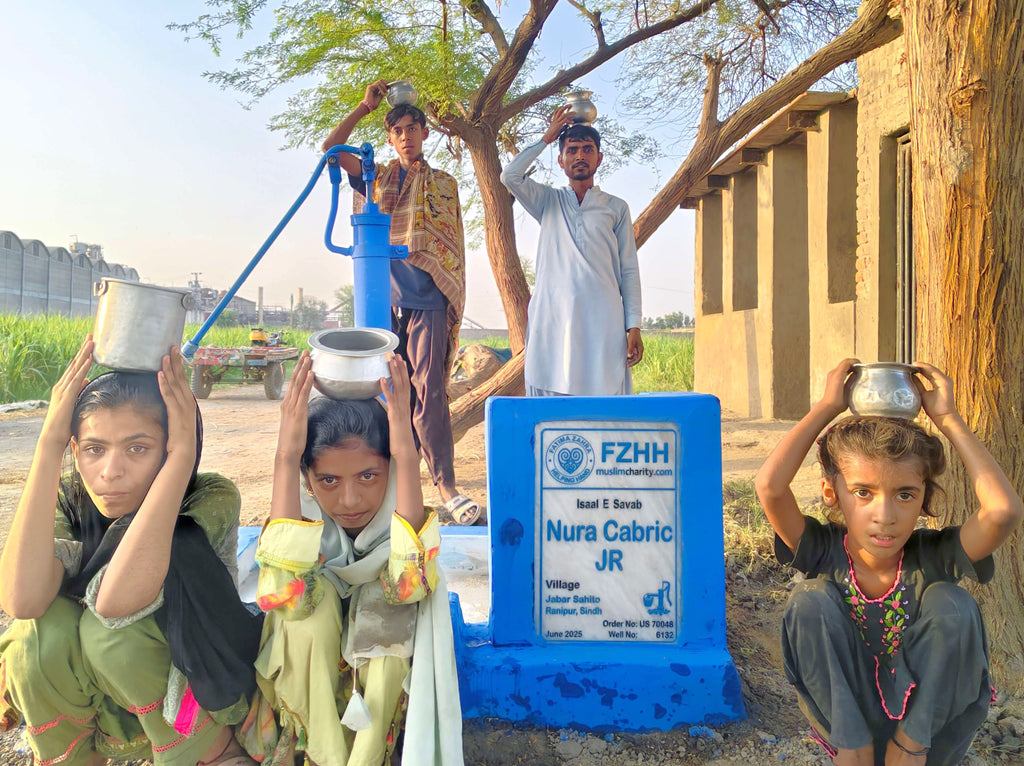 Nura Cabric JR - Order no. US 70048 - Well no. 6132